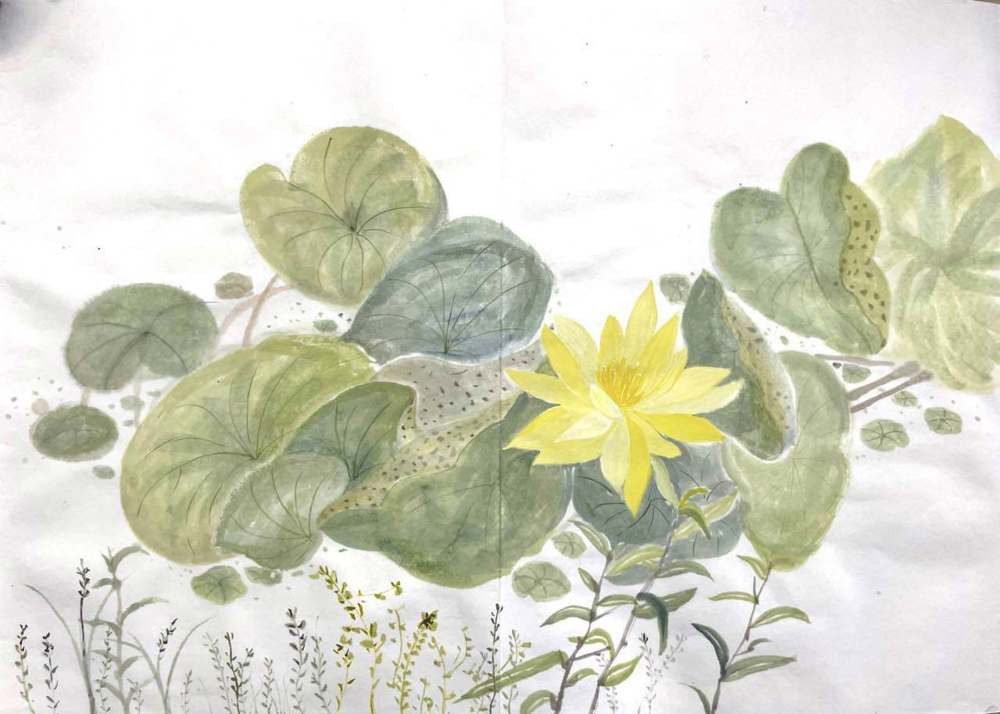 刘苏莹