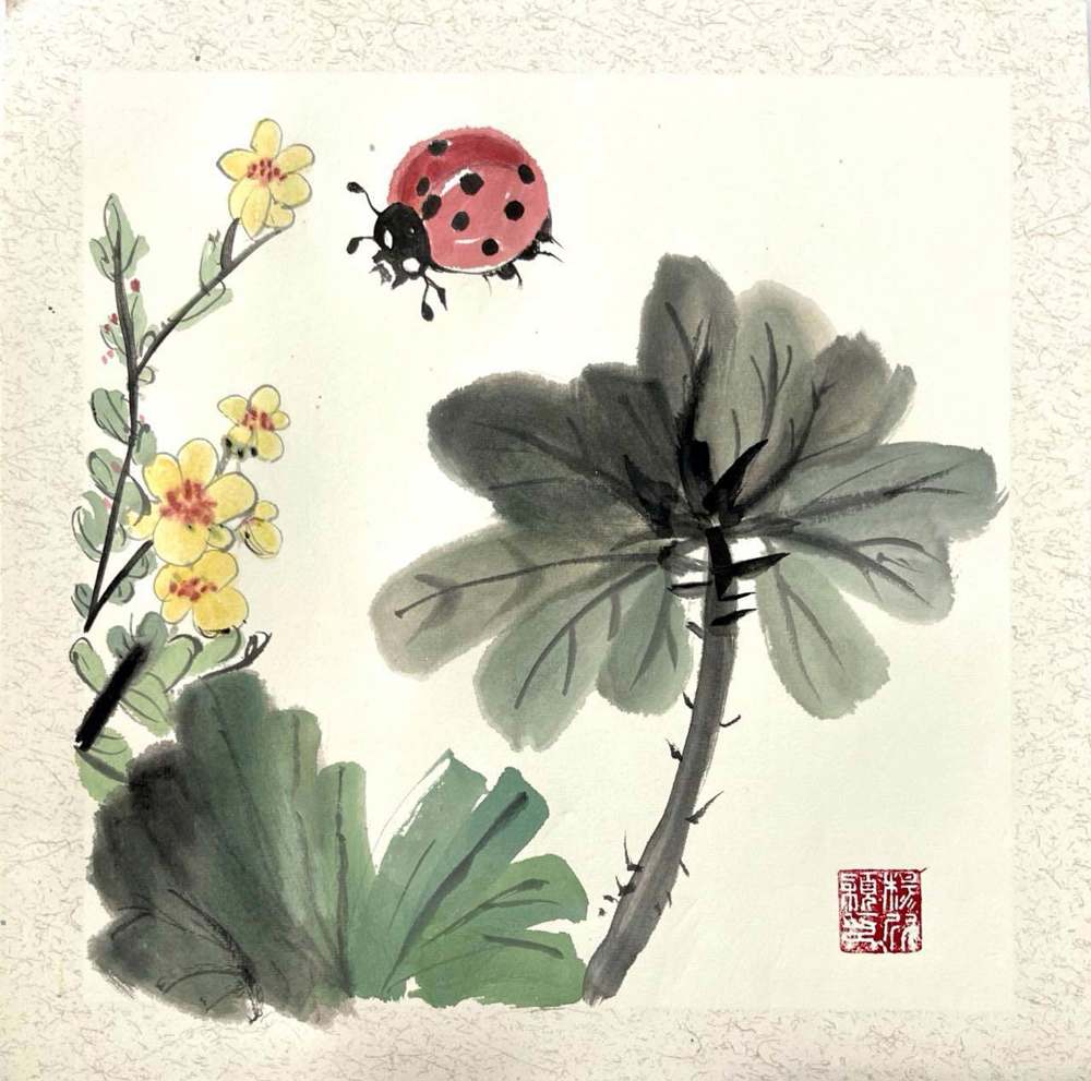 杨欣颖